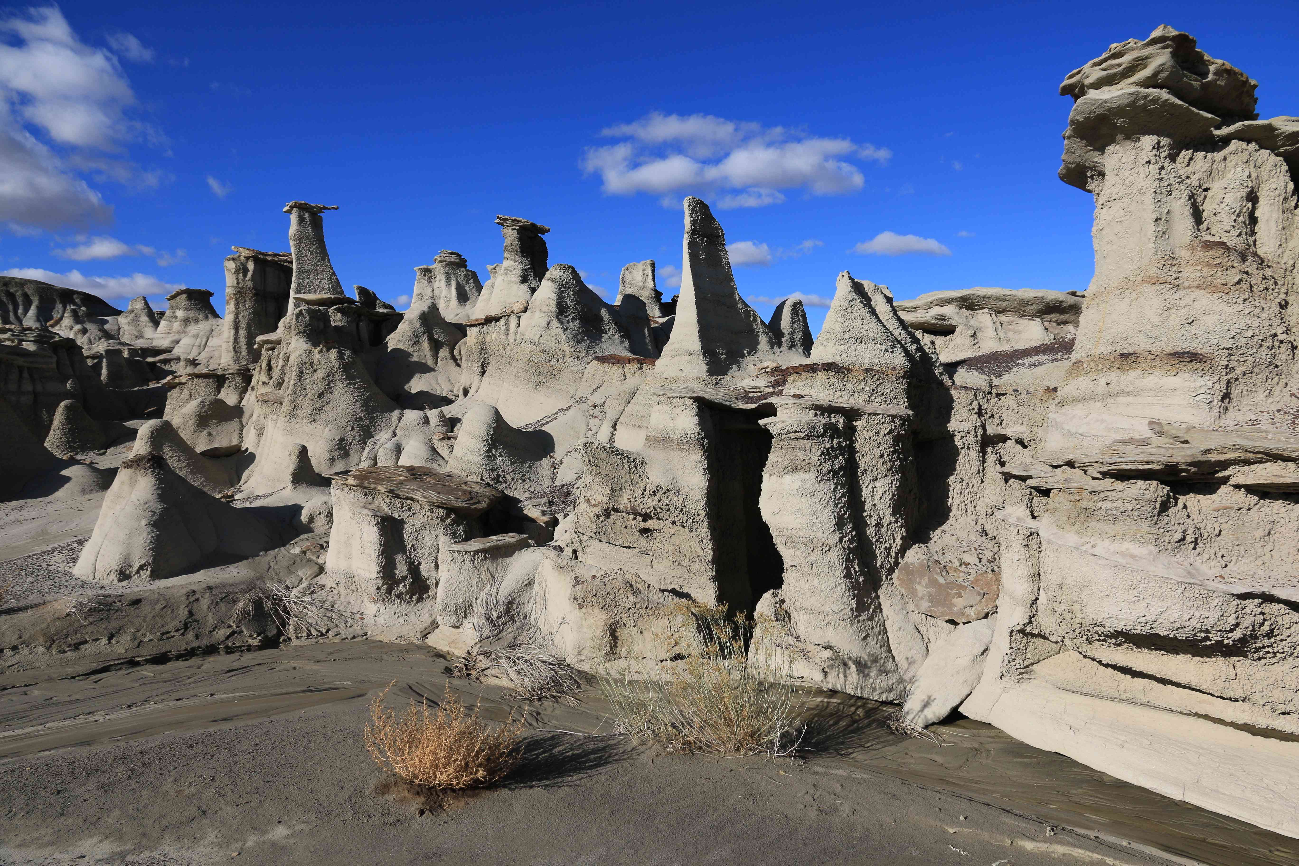 Bisti Badlands